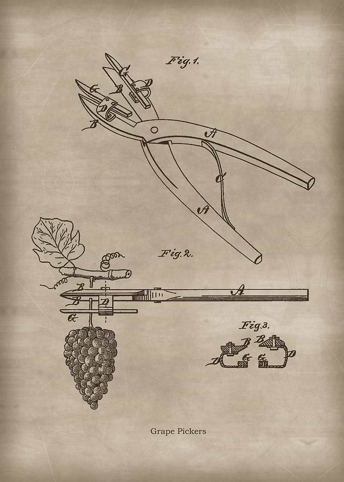 Vintage Grape Pickers