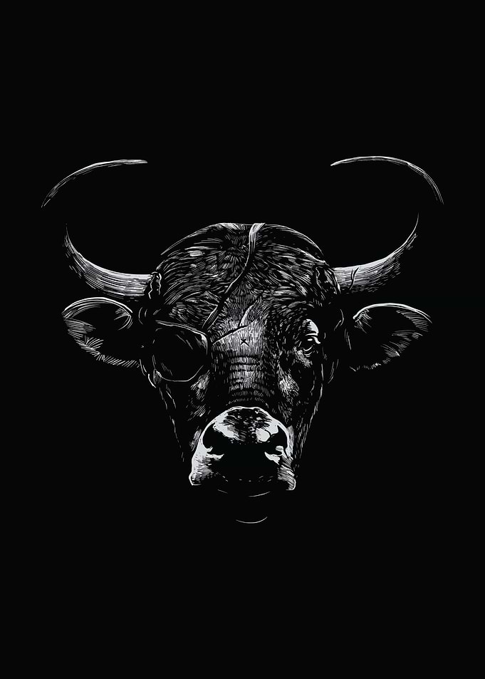 Bull