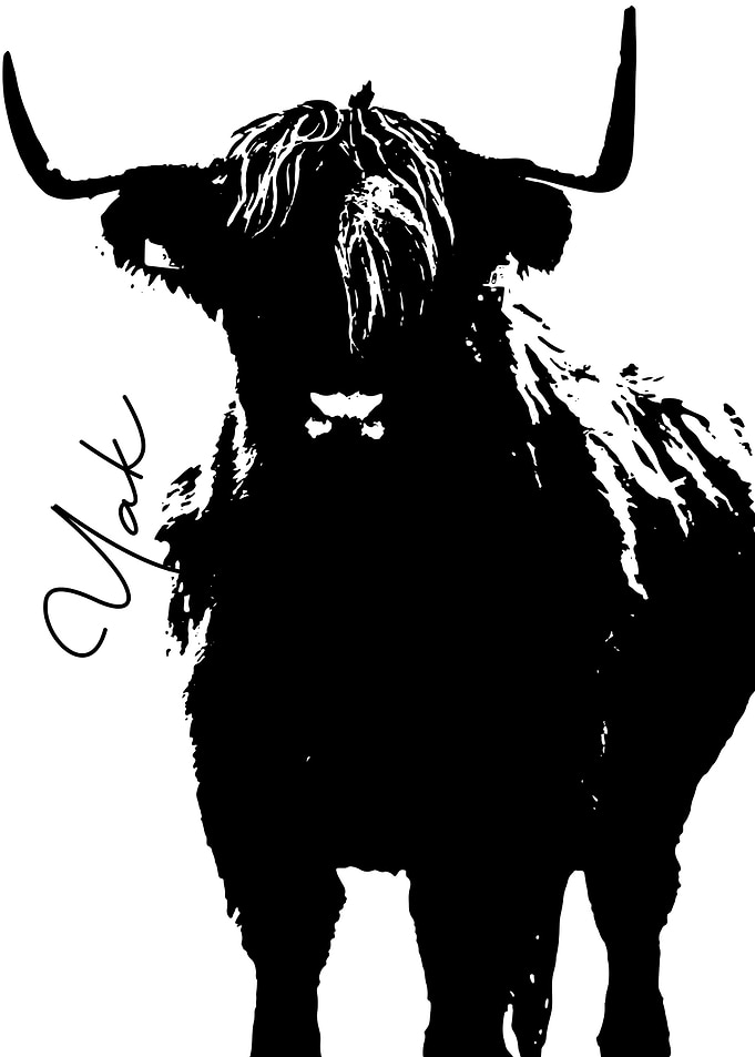 Yak
