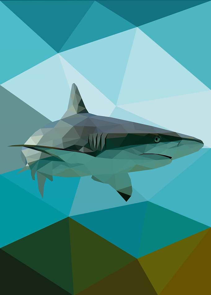 Shark