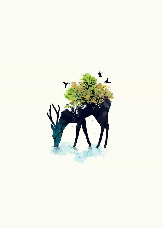 Nature deer