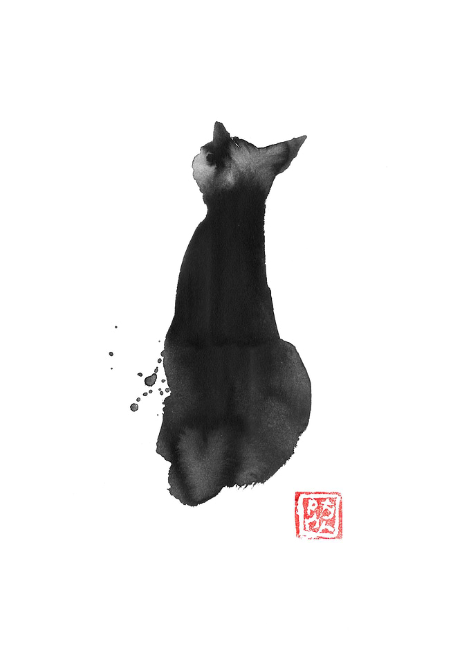black cat back