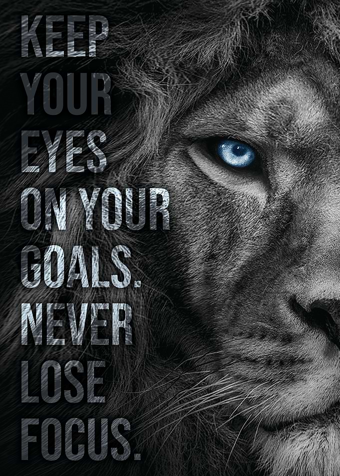 Never Lose Focus