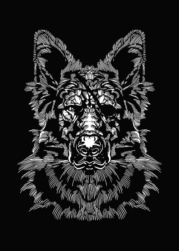 German Shepherd