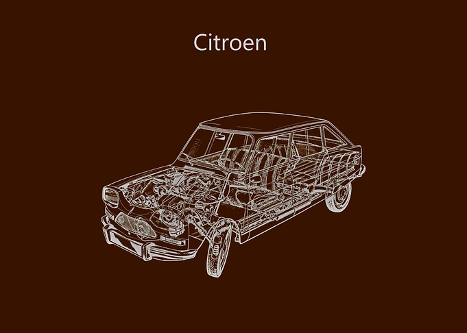 Citroen Ami 8
