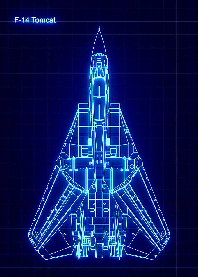F 14 Tomcat