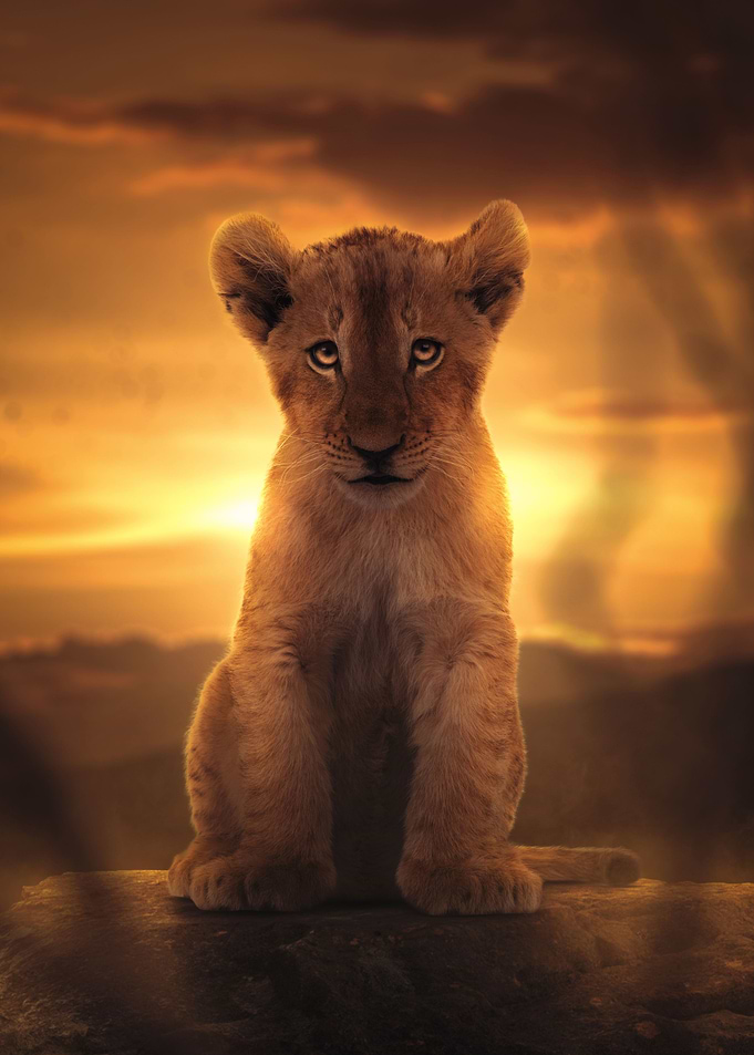 Cute Lion Cup