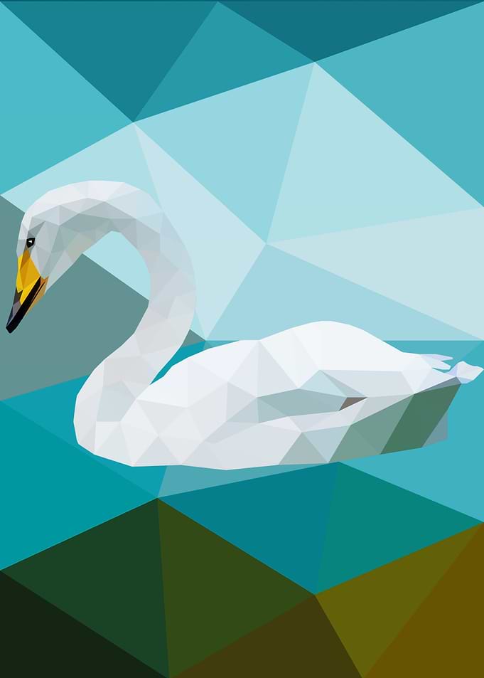 Swan