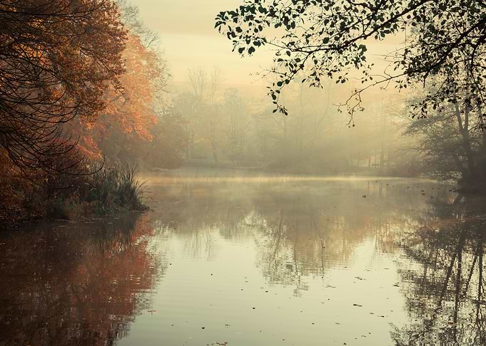 Autumn morning lake park