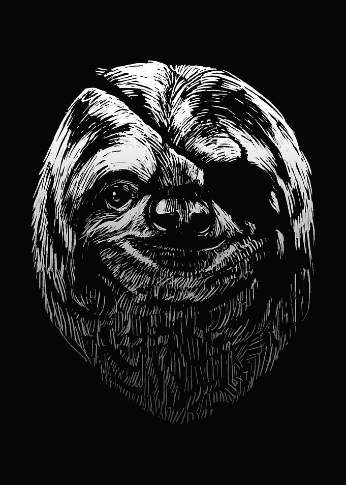 Sloth