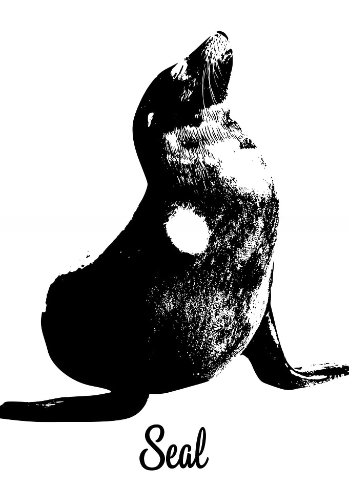 Seal
