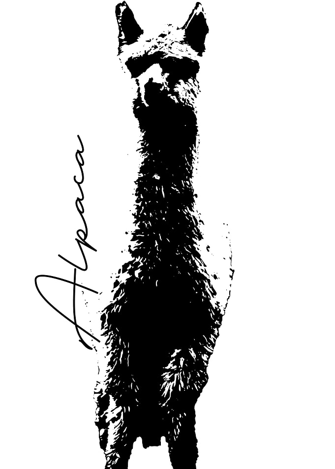 Alpaca