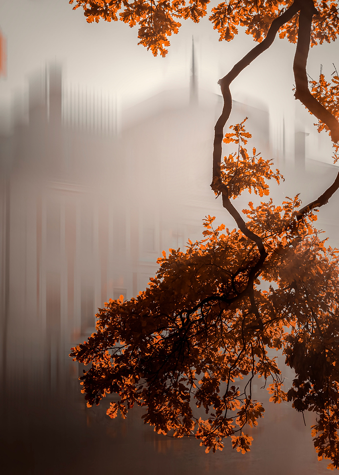 Autumn park, impression