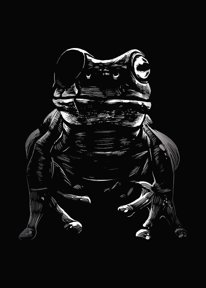 Frog