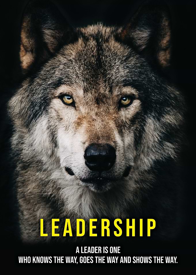 Leadership Alpha Wolf