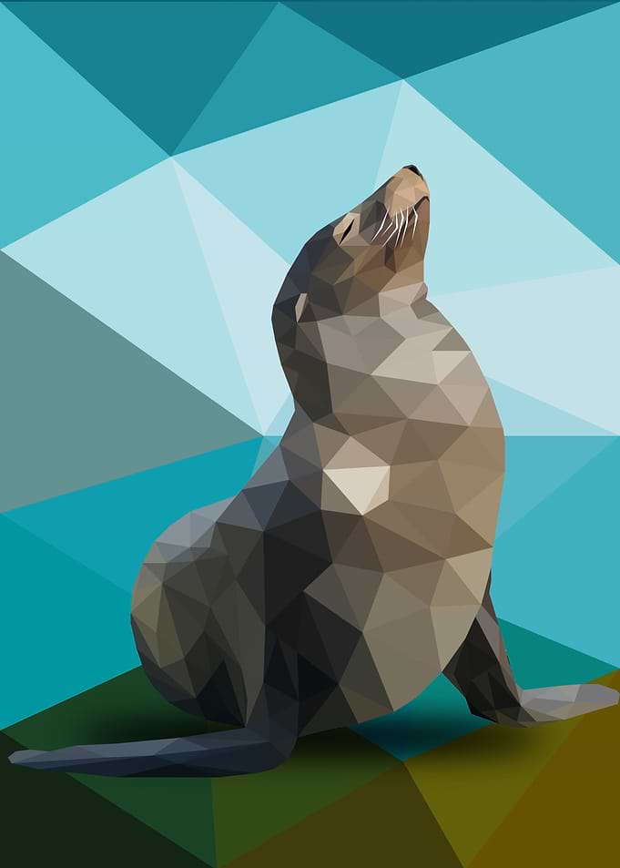 Seal