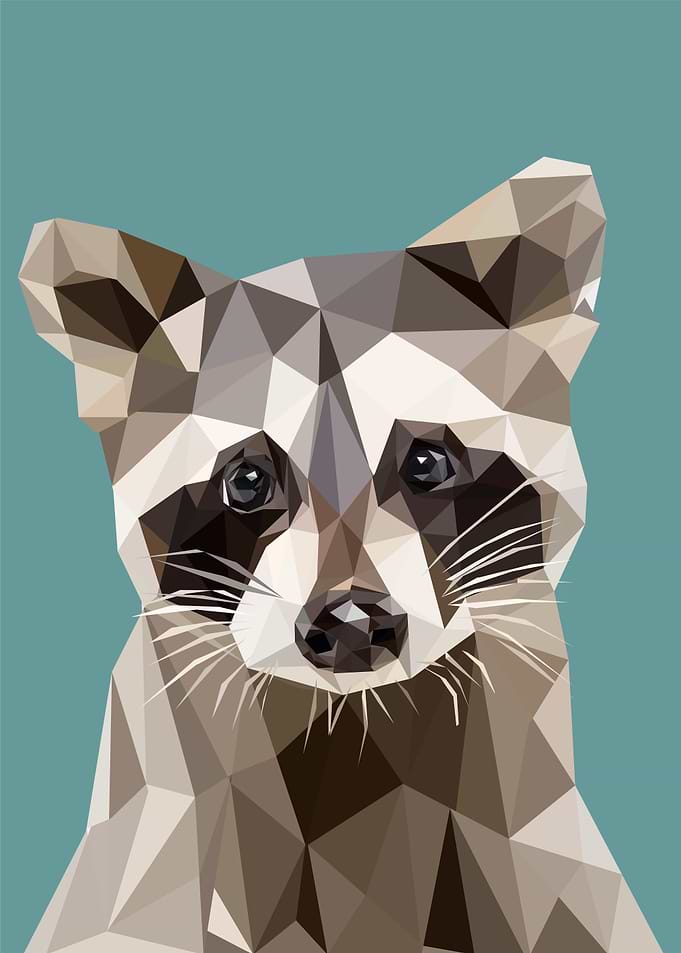 nursery animals raccoon