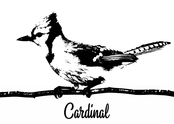 Cardinal