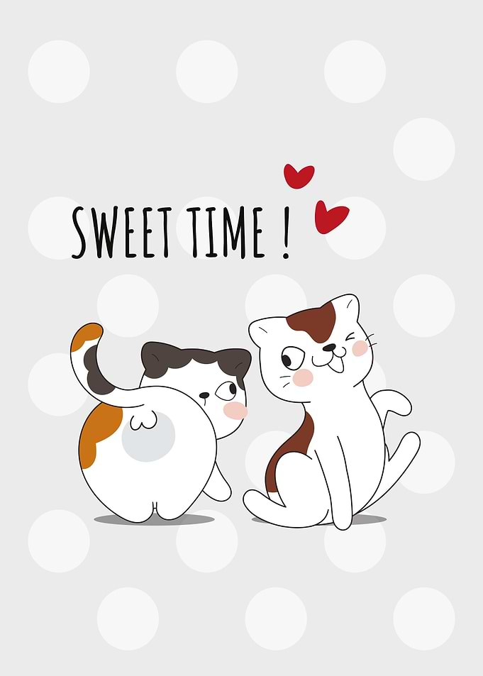 Cute Cats Sweet Time