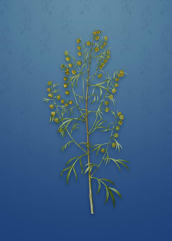 Vintage Madeira Wormwood
