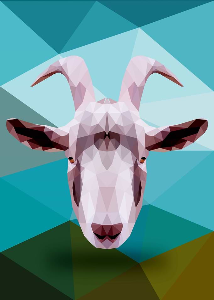 Goat