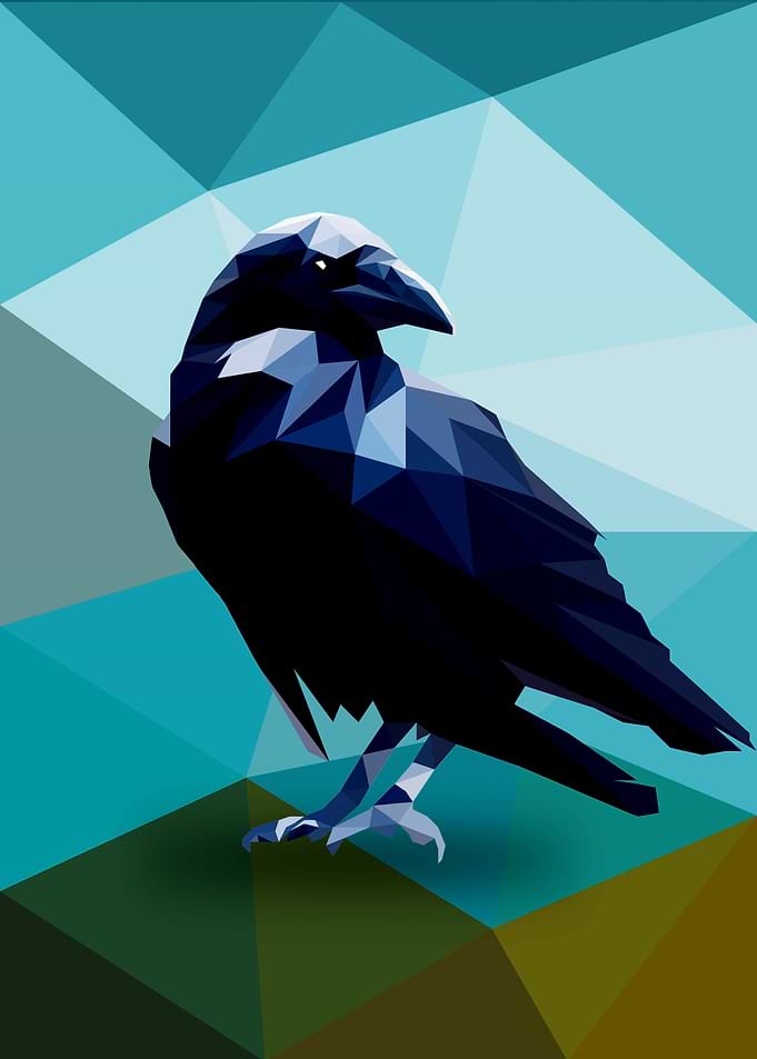 Crow Bird