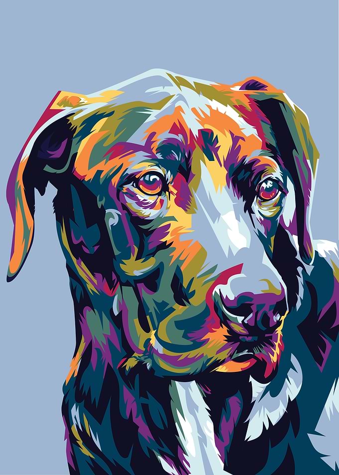 My Cute Dog