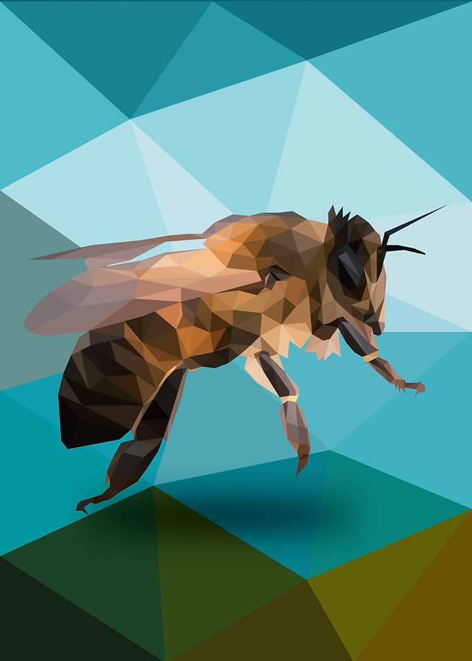 Bee