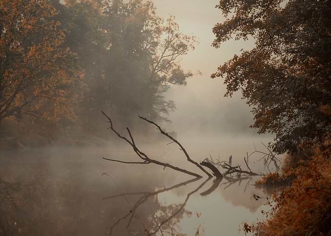 Autumn misty dawn, river