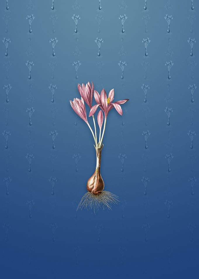 Vintage Autumn Crocus