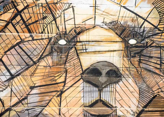Bear Wall Art Abstraction
