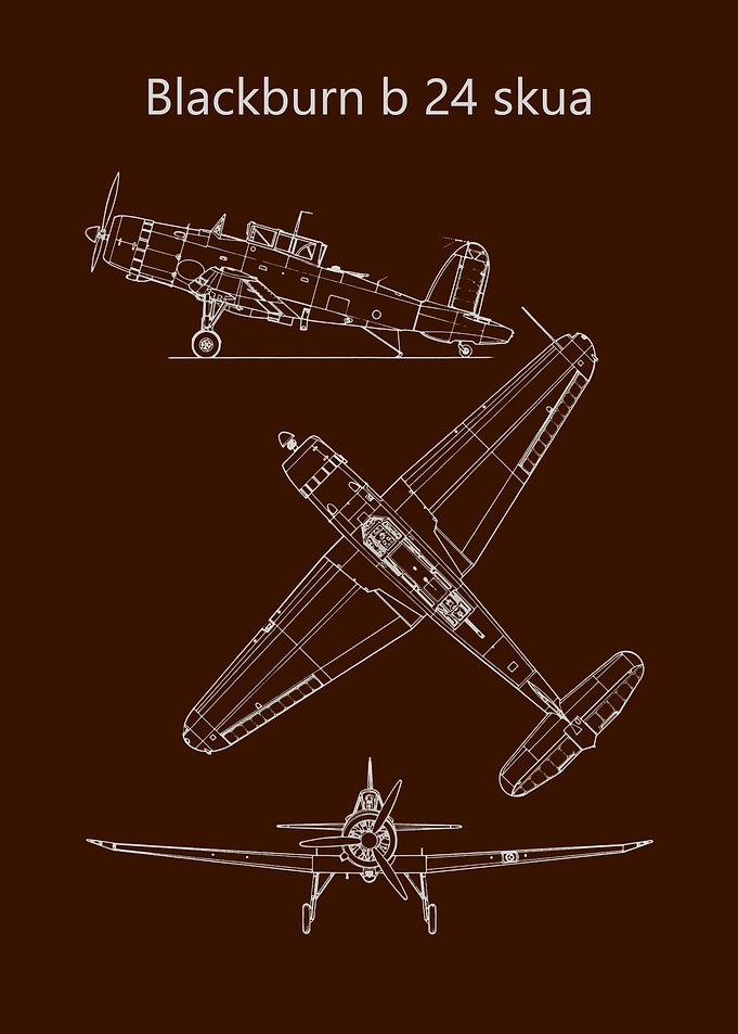 blackburn b 24 skua