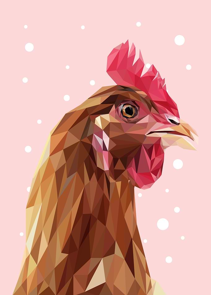 nursery animals chicken