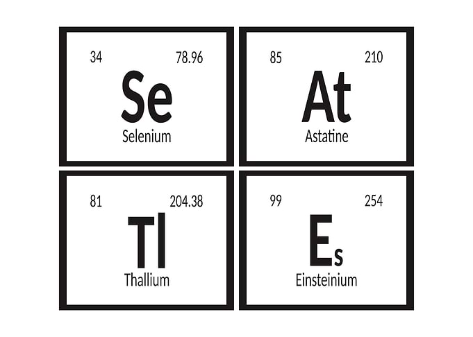 Seattle City Elements