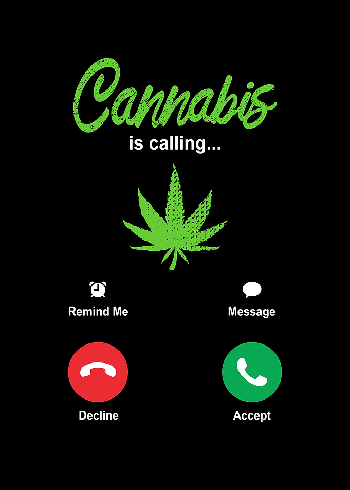 Cannabis