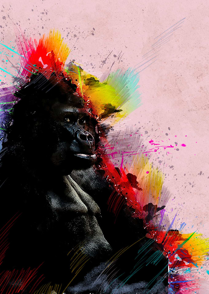 Gorilla 48