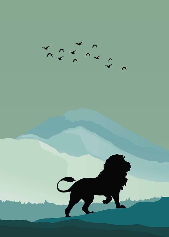 Lion Animal