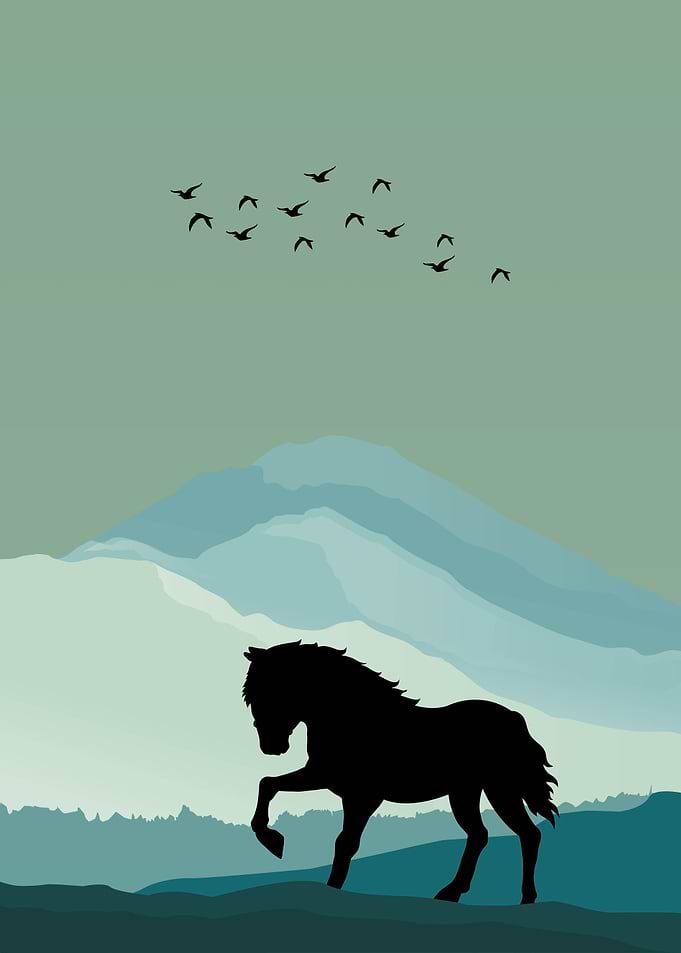 Horse Animal