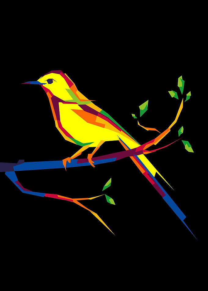 bird animal paint