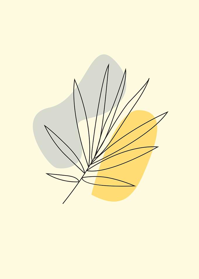 aesthetic art