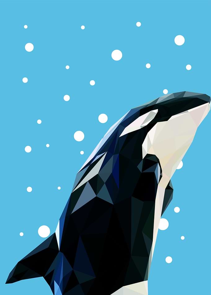 geometric animal Whale