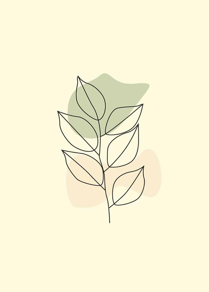 botanical walla art