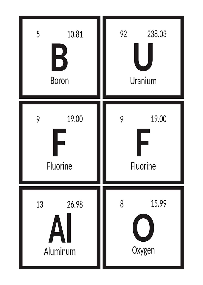 Buffalo City of Elements