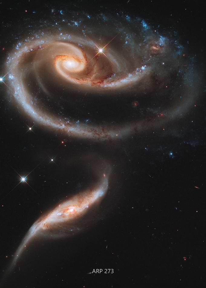 ARP 273