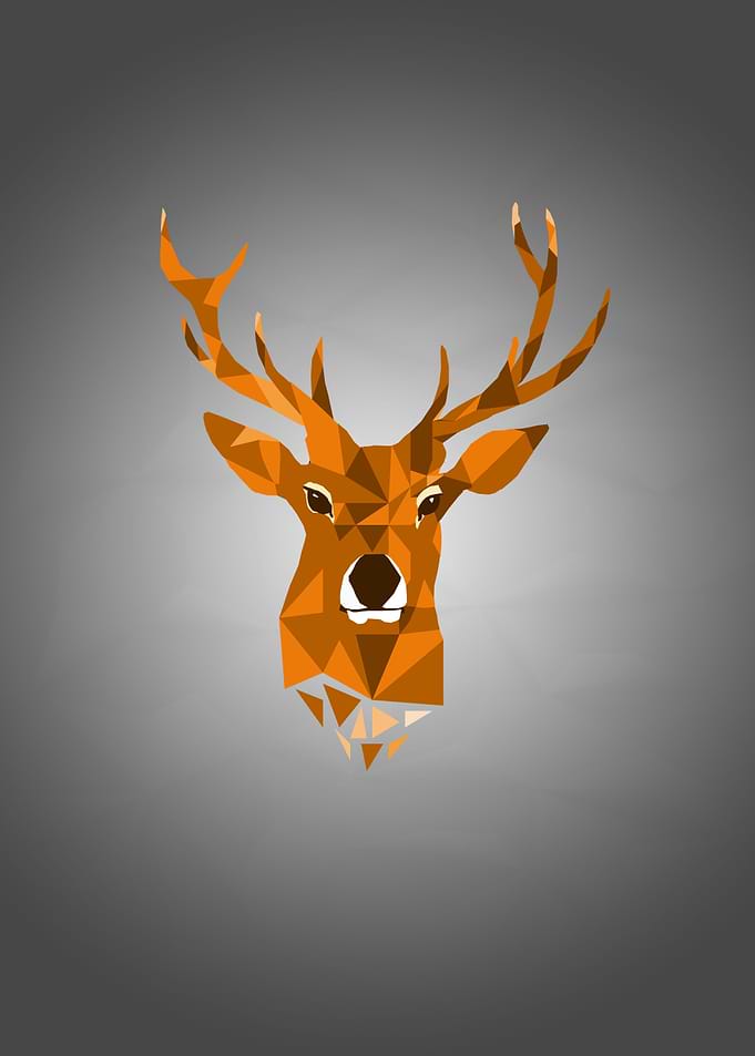 best animal