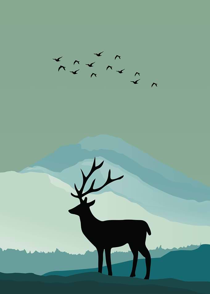 Deer Animal
