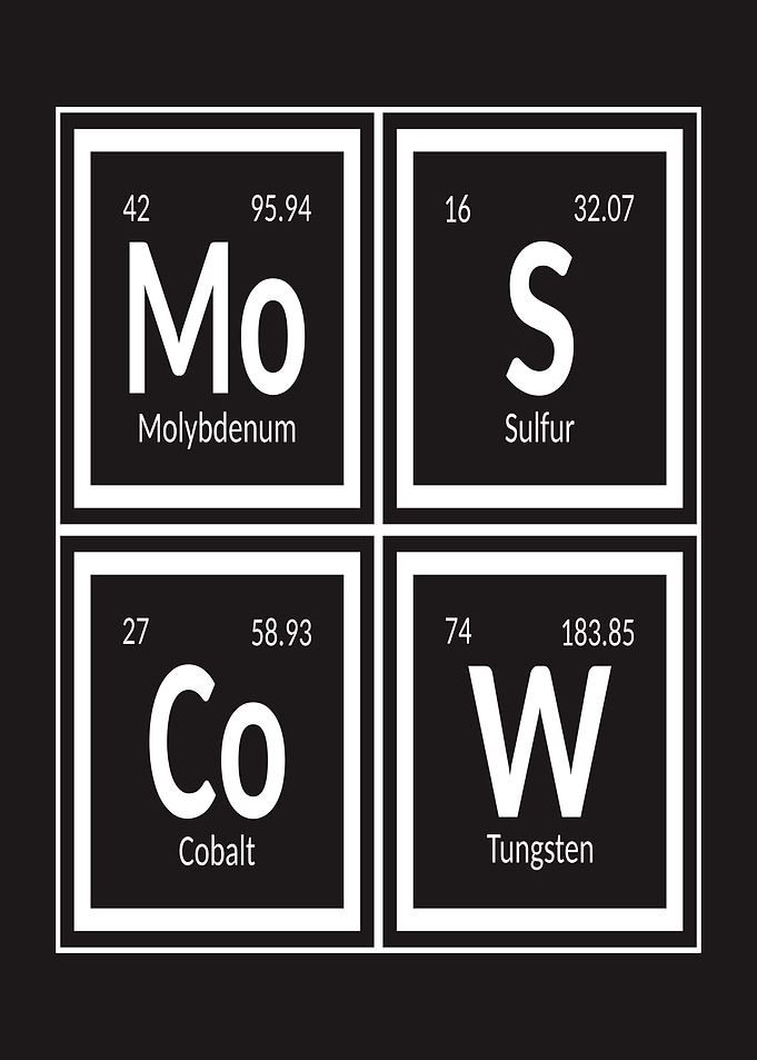 Elements of Moscow City