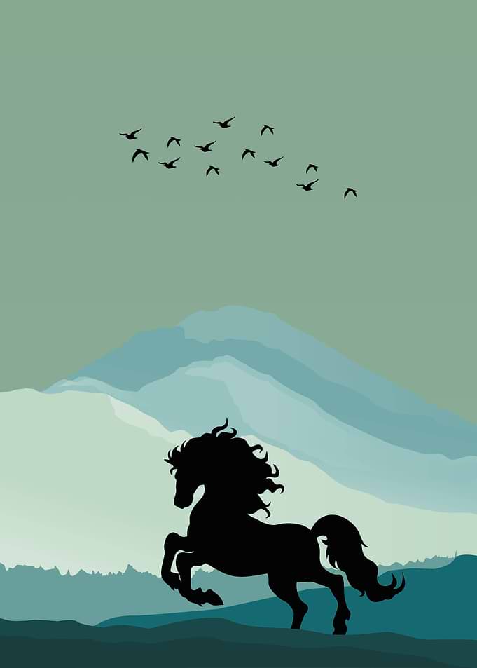 Horse Animal