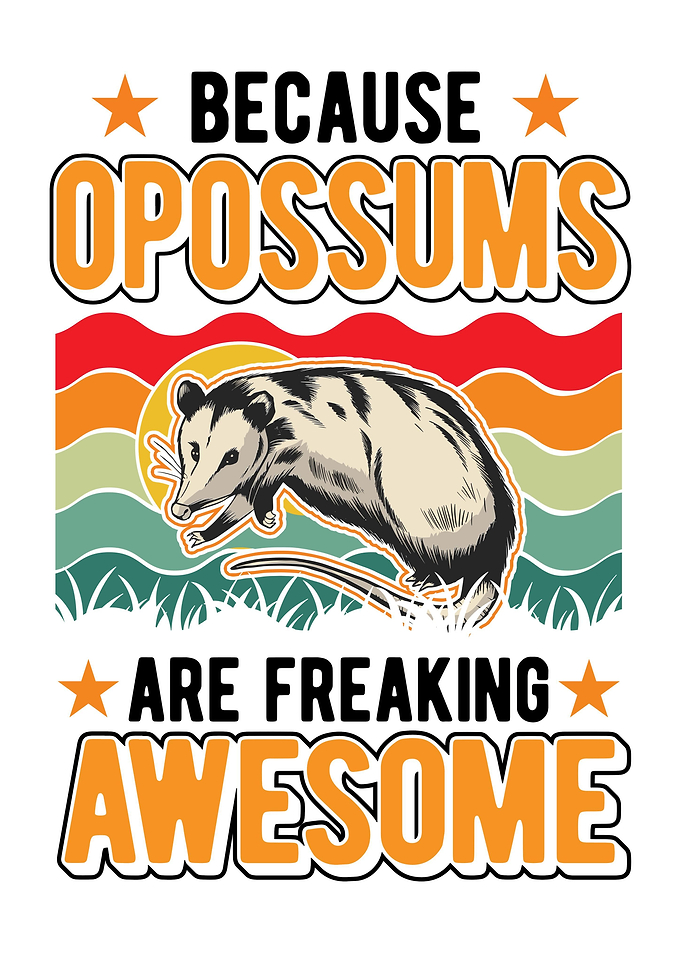 Opossum Lover Possum Gift