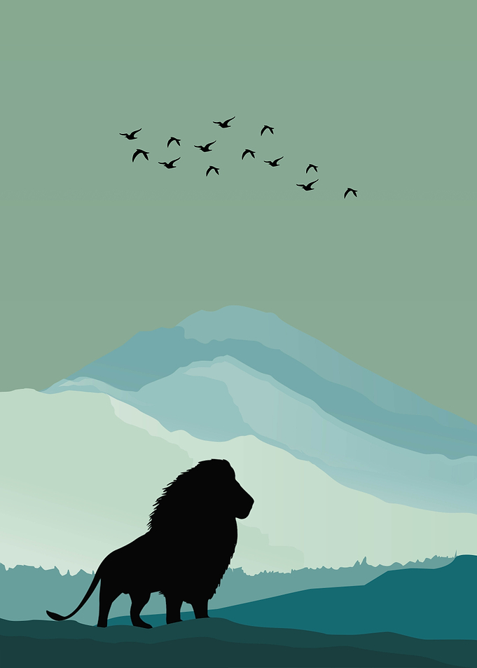 Lion Animal